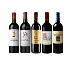WINE - CHATEAU ( FRANCE )