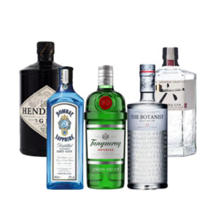 Gin